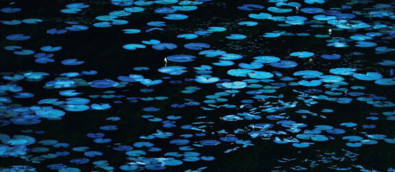 KeyVisual Sandra Bartocha 16zu9