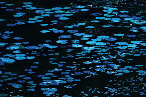 KeyVisual Sandra Bartocha 16zu9