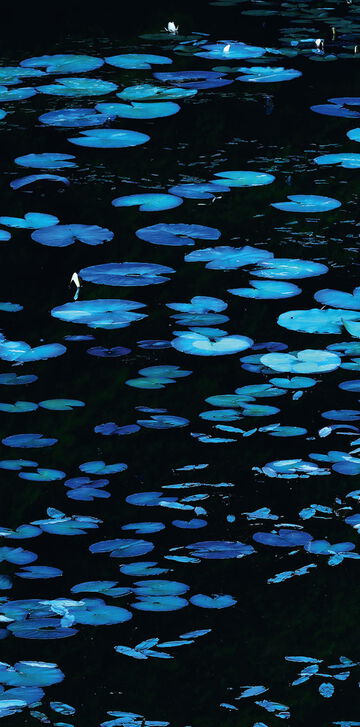 KeyVisual Sandra Bartocha 16zu9